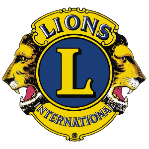 Single District 10 Lions Michigan